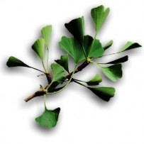 Naturopathic Non-Chemotherapy Cancer Treatments